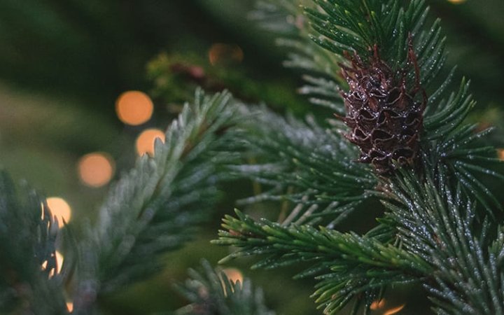 Portada Guia Navidad 2024_ Parte 2